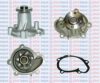 AQUAPLUS 85-6715 Water Pump